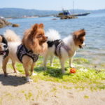 令和7年4月29日の日誌