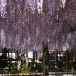 令和7年4月26日の日誌