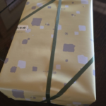 2025-4 泉初江さまより