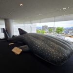 令和7年5月5日の日誌