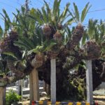 令和7年5月7日の日誌