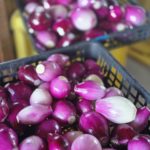 2025-05 大政喜代武さまより