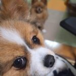 令和7年5月8日の日誌