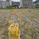 令和7年5月16日の日誌