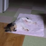 令和7年5月19日の日誌