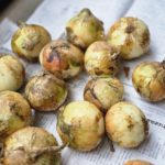 令和7年5月23日の日誌