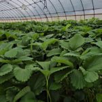 令和7年5月24日の日誌