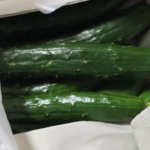 2025年6月 大政真さまより