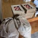 2025-11 愛媛県議会議員　菊地伸英さまより